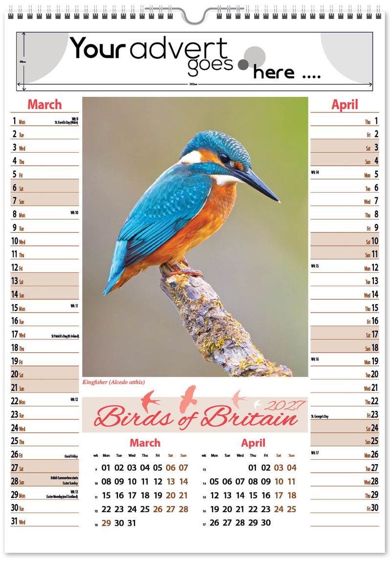 birds of britain pic memo 2027 2
