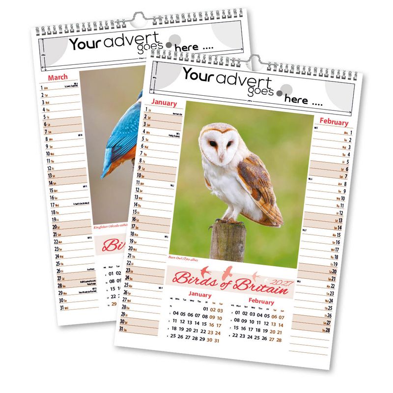 Birds of Britain Memo Wall Calendar, 2027 edition