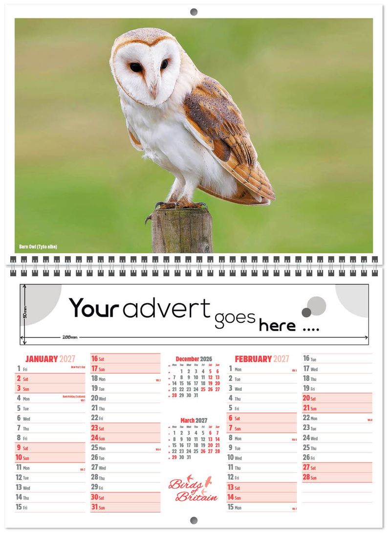 birds of britain central wiro 7l 2027 1