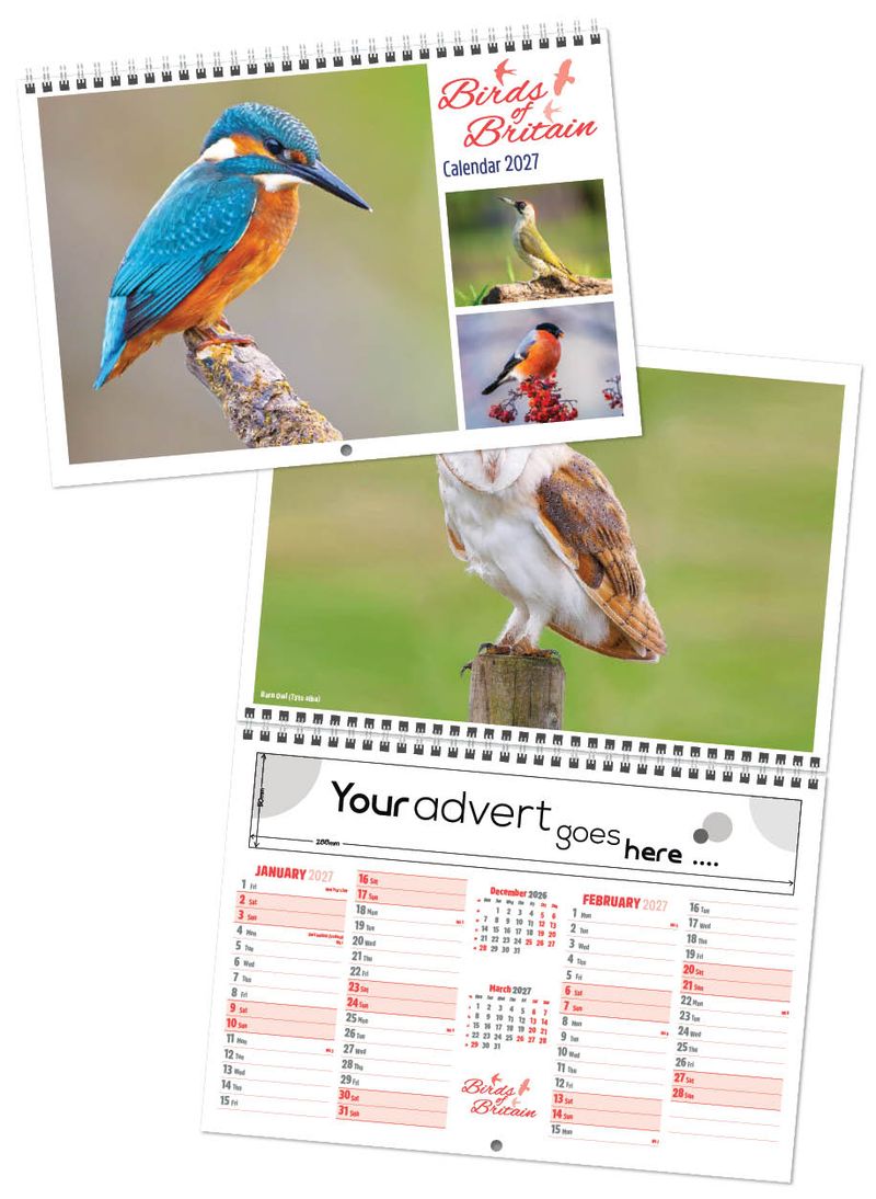 Birds of Britain Central Wiro Wall Calendar, 2027 edition